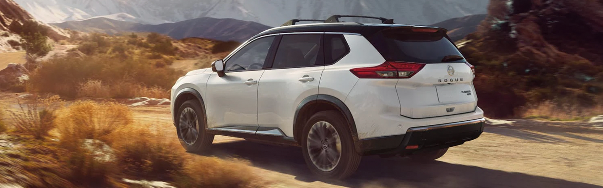 Silver Nissan SUV parked near mountains.