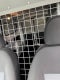 2021 RAM ProMaster City Tradesman